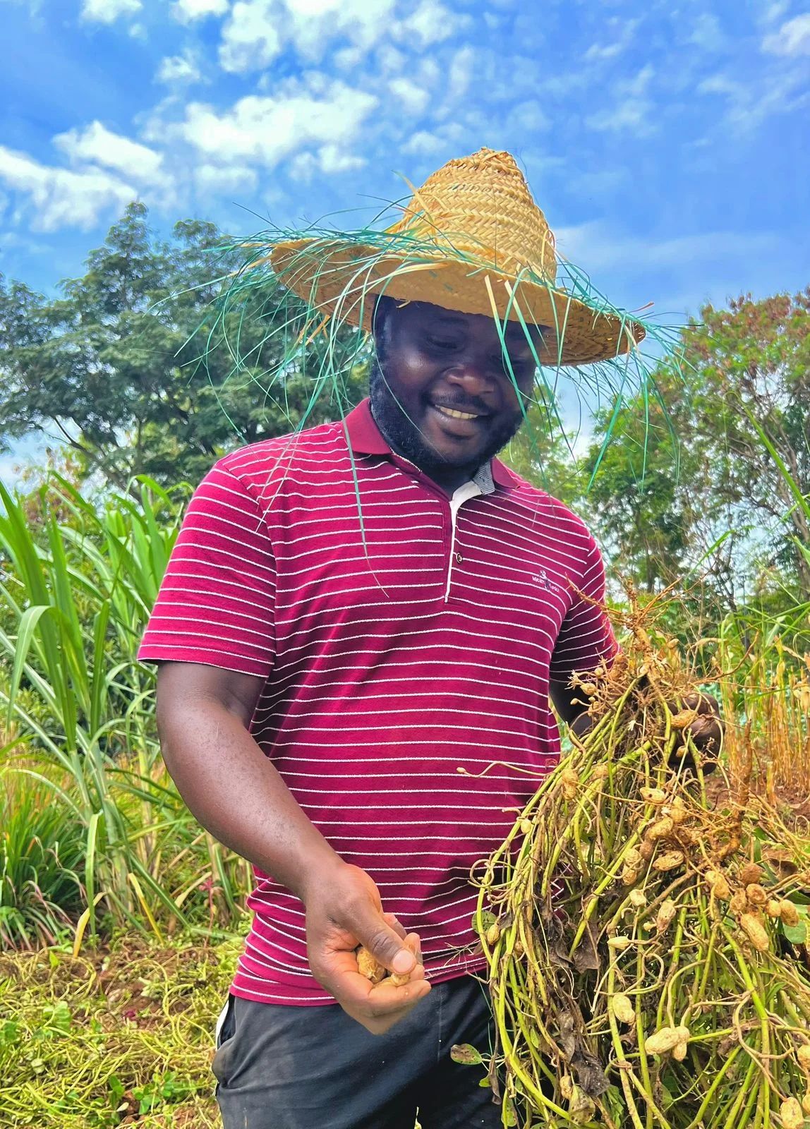 Tom Ogweno